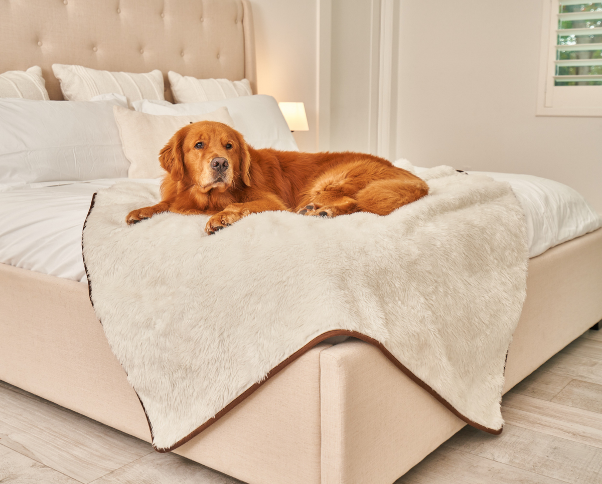 Waterproof Throw Blanket product image 11