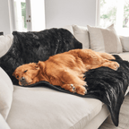 Waterproof Dog Blanket product image 1