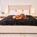 Waterproof Dog Blanket product image 2