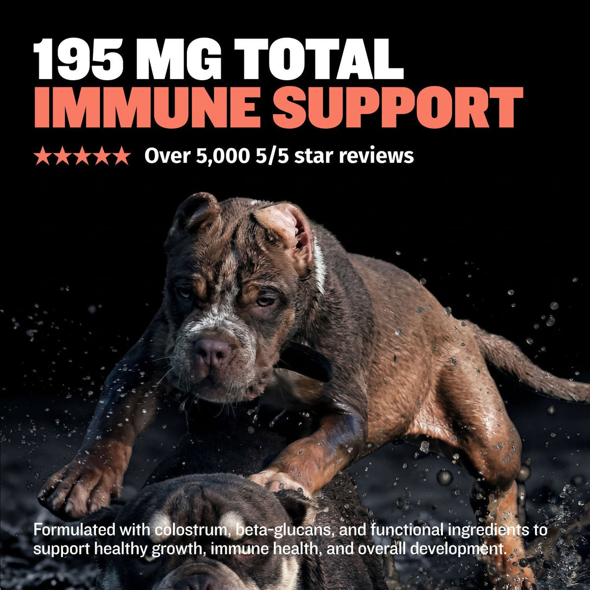 Puppy Immune and Growth Support Chews product image 4