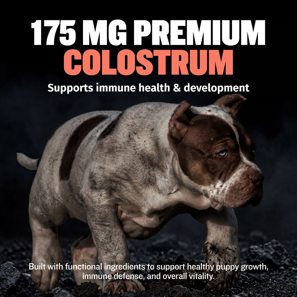 Puppy Immune and Growth Support Chews product image 5