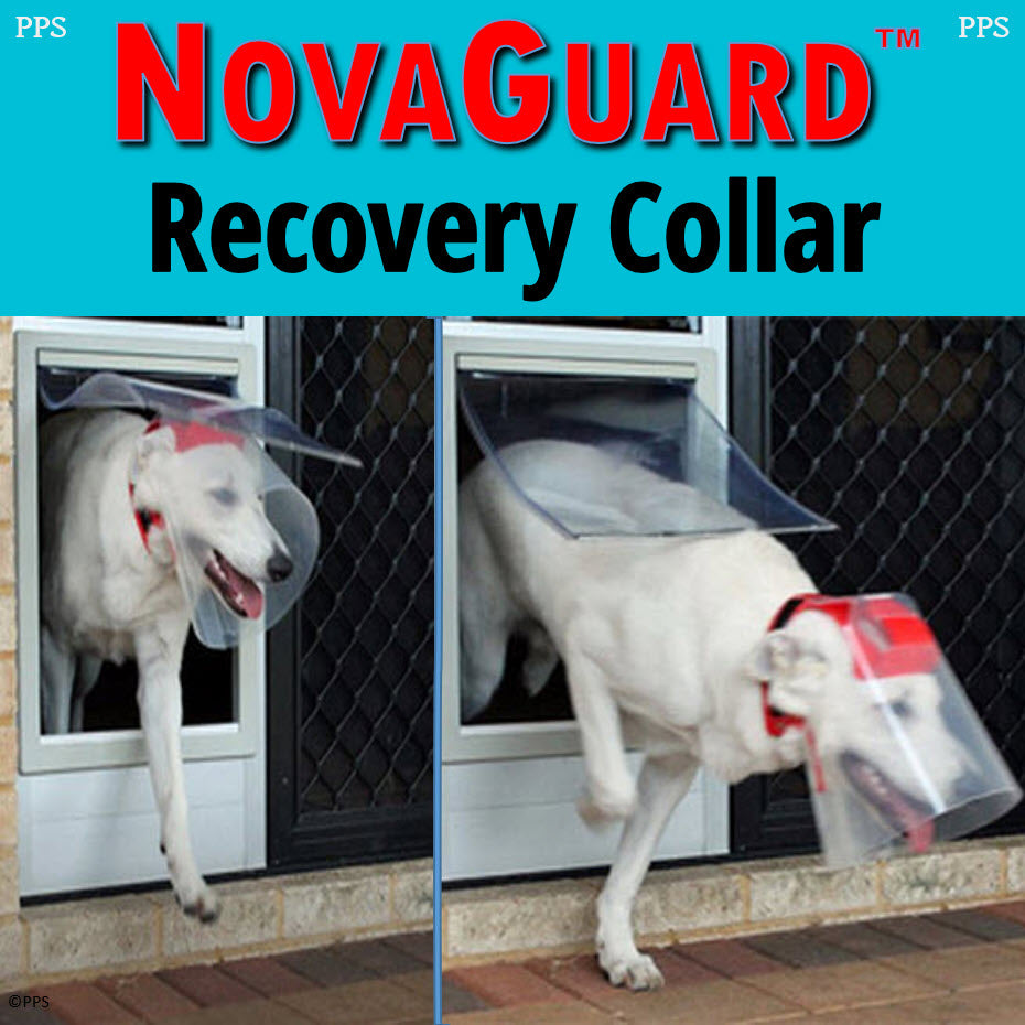 Pet Recovery Collar product image 1