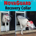 Pet Recovery Collar product image 1