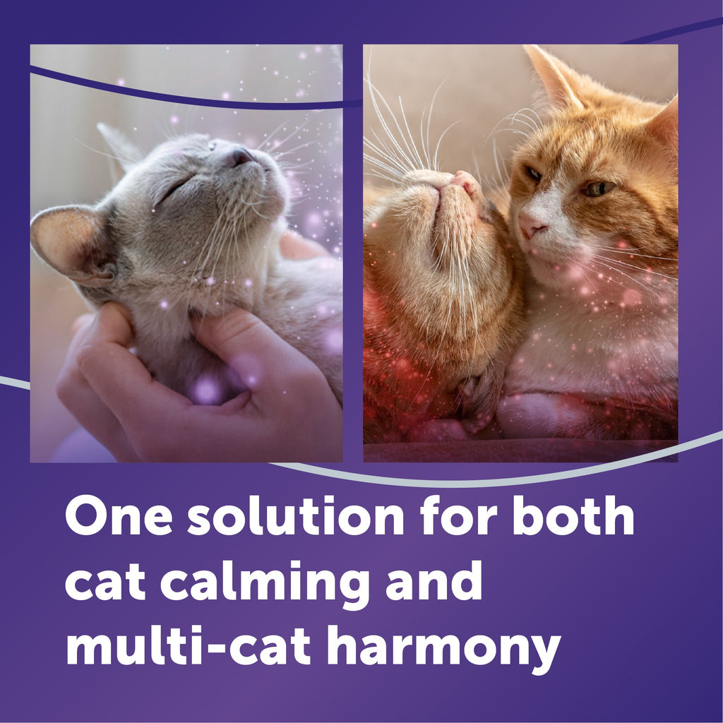 Cat Calming Diffuser Refill product image 4