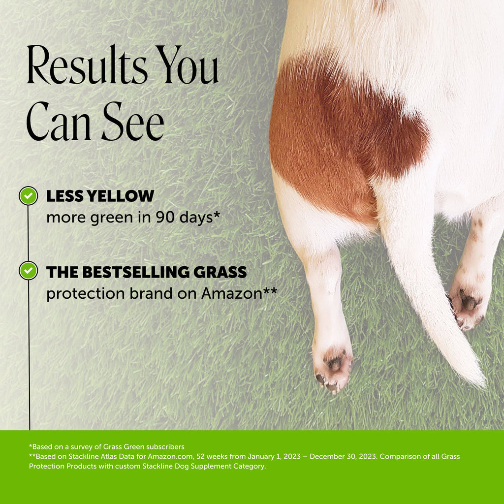 Dog Supplement Chews product image 2