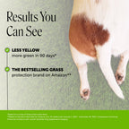 Dog Supplement Chews product image 2
