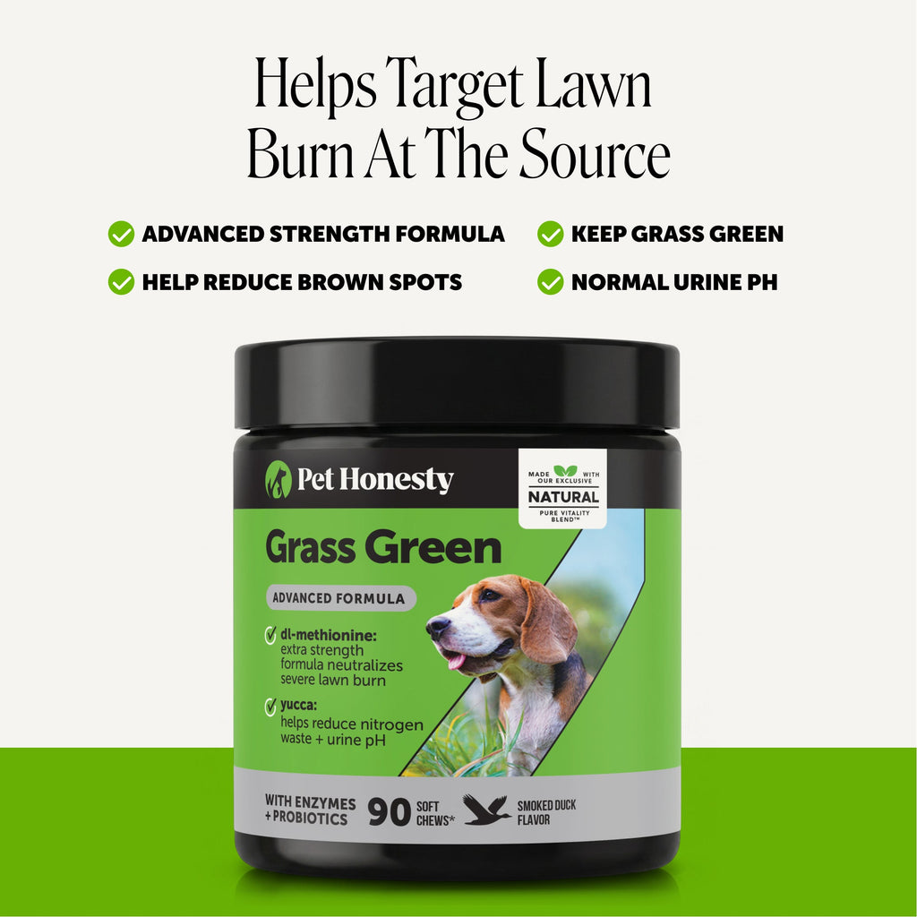 Dog Supplement Chews product image 3