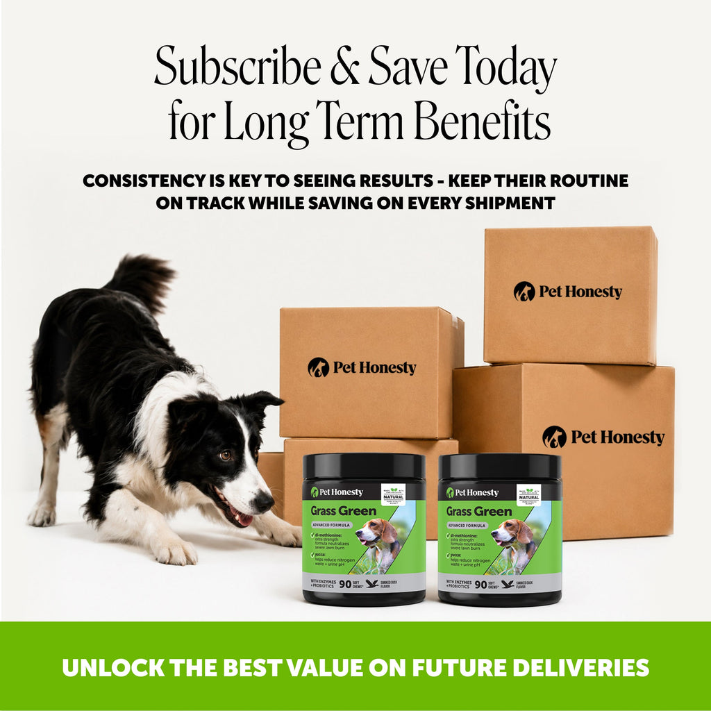 Dog Supplement Chews product image 8