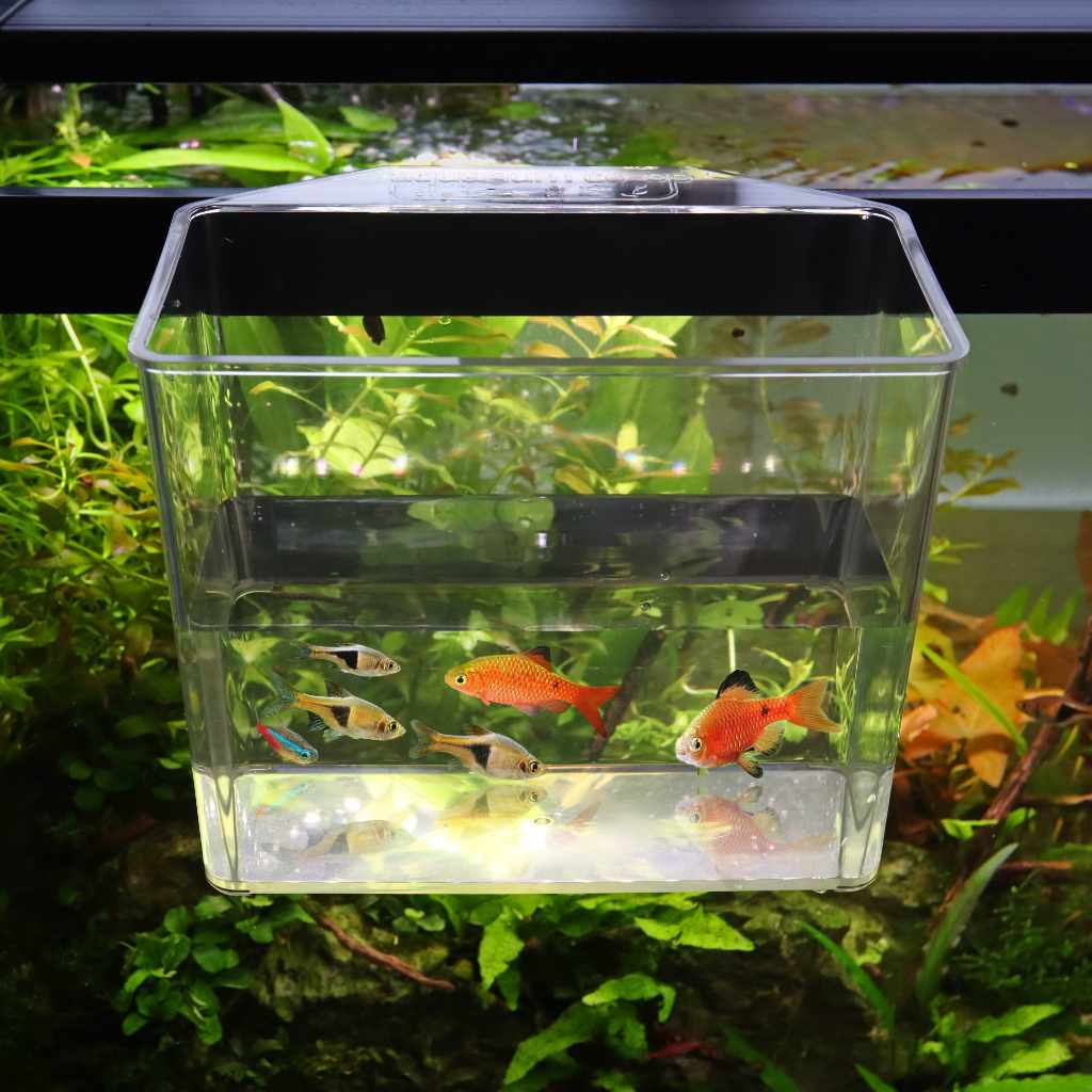 Aquarium Catch Cup product image 2