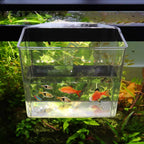 Aquarium Catch Cup product image 2
