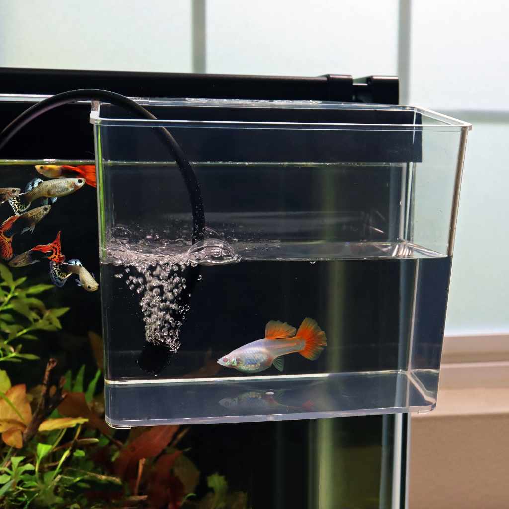 Aquarium Catch Cup product image 5