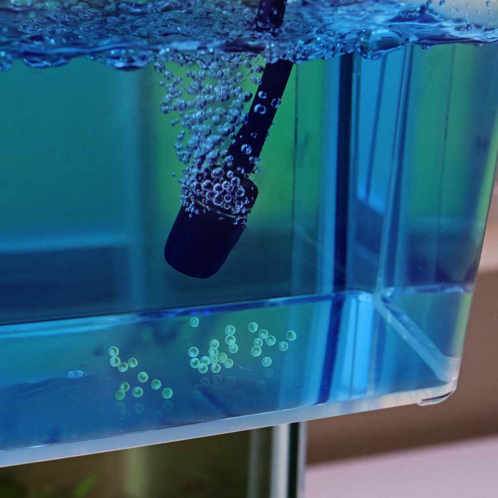 Aquarium Catch Cup product image 9