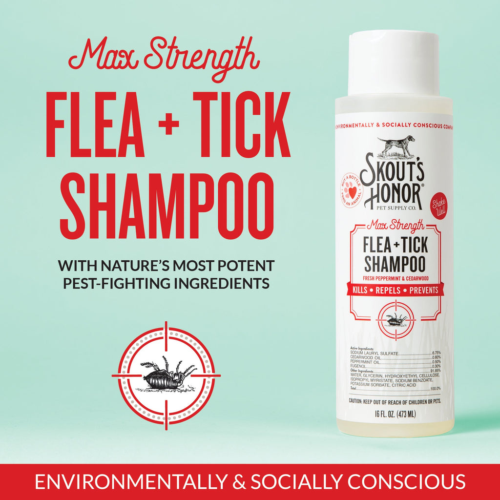 Flea Tick Shampoo product image 4