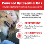 Flea Tick Shampoo product image 6