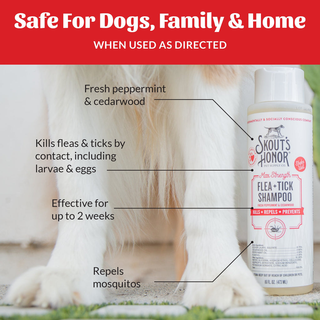 Flea Tick Shampoo product image 7