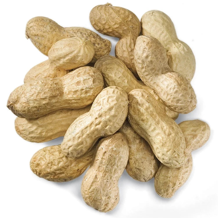 Wild Bird Food product image 1