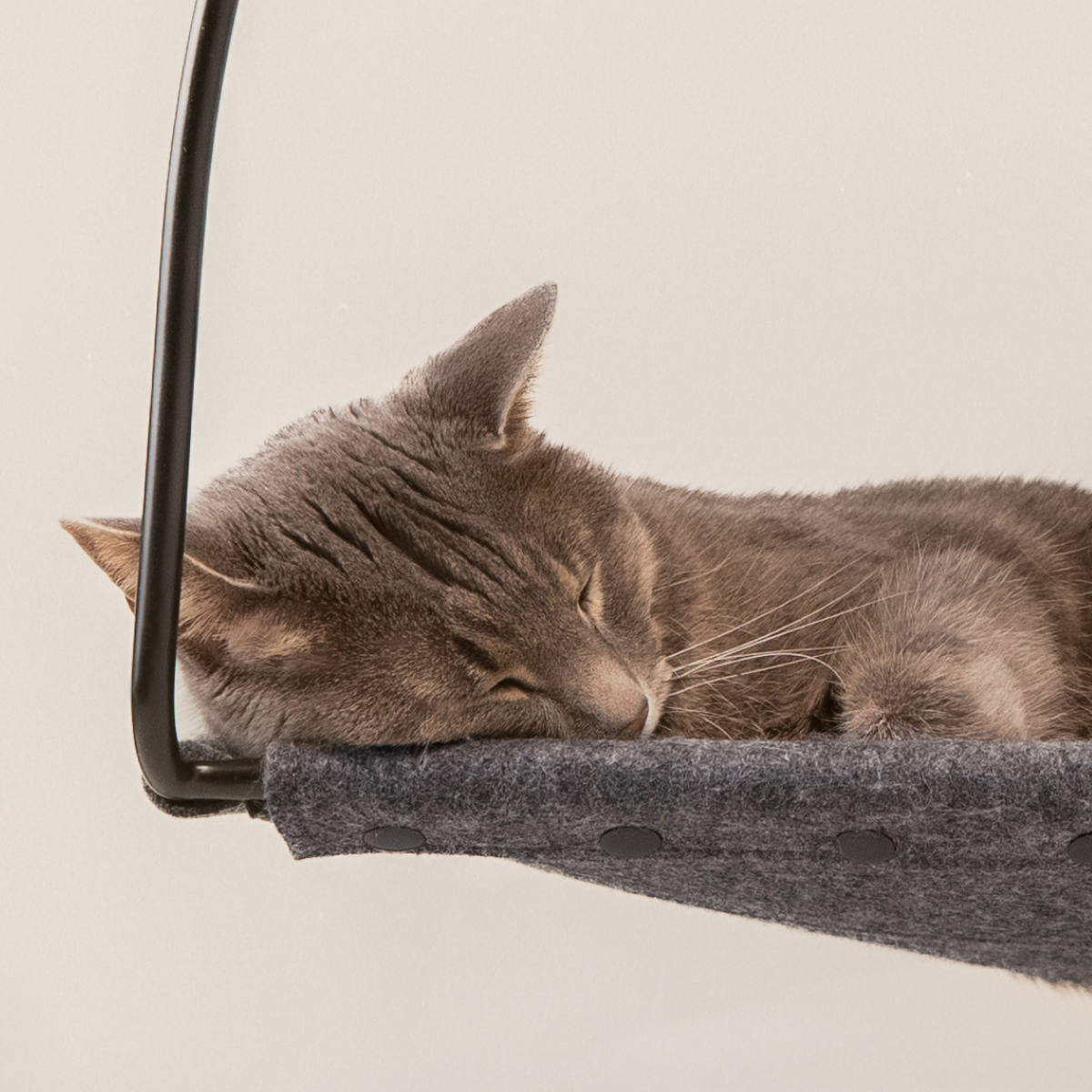 Cloud Nine Window Hammock product image 2