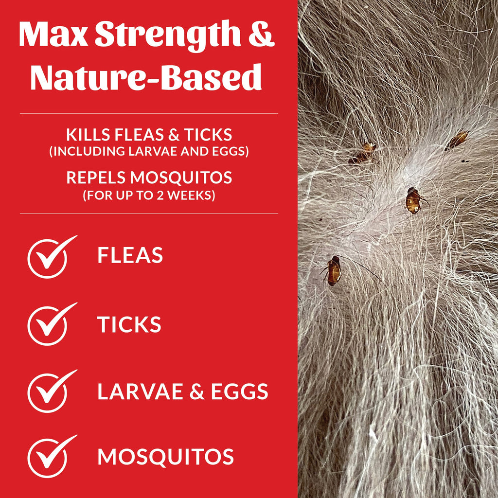Dog Flea Spray product image 4