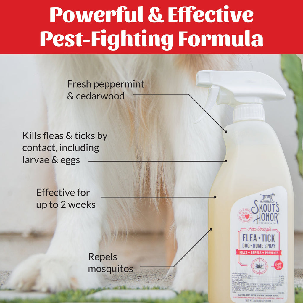Dog Flea Spray product image 6