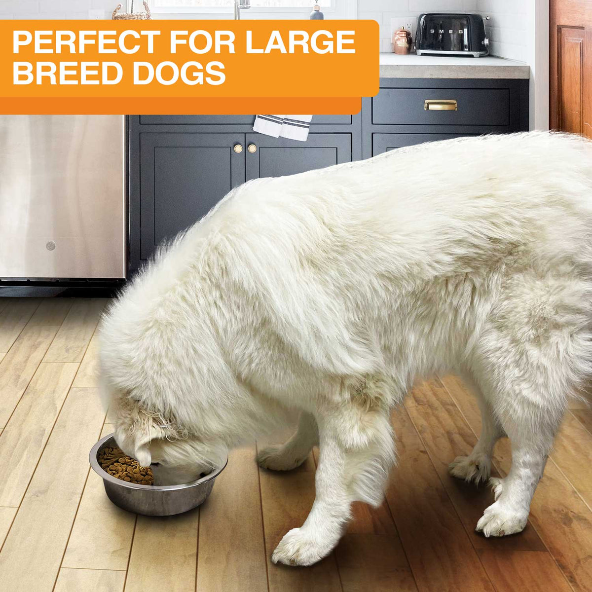 Pet Bowl product image 29