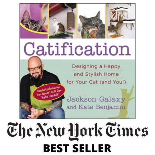 Cat Care Book Bundle product image 5