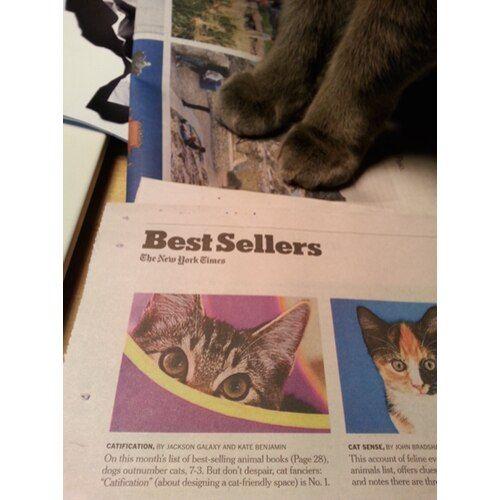 Cat Care Book Bundle product image 8