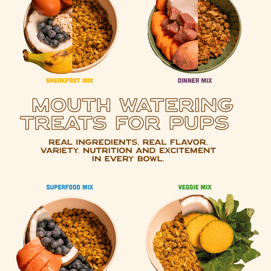 Dog Food Topper product image 5