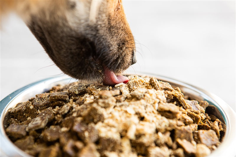 Dog Food Topper product image 7
