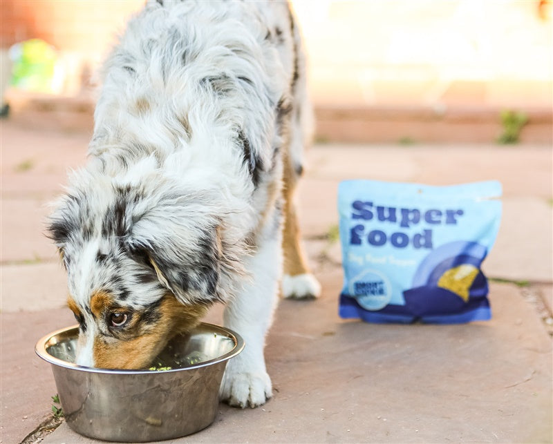 Dog Food Topper product image 11