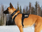 Dog Harness product image 8