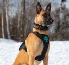 Dog Harness product image 9