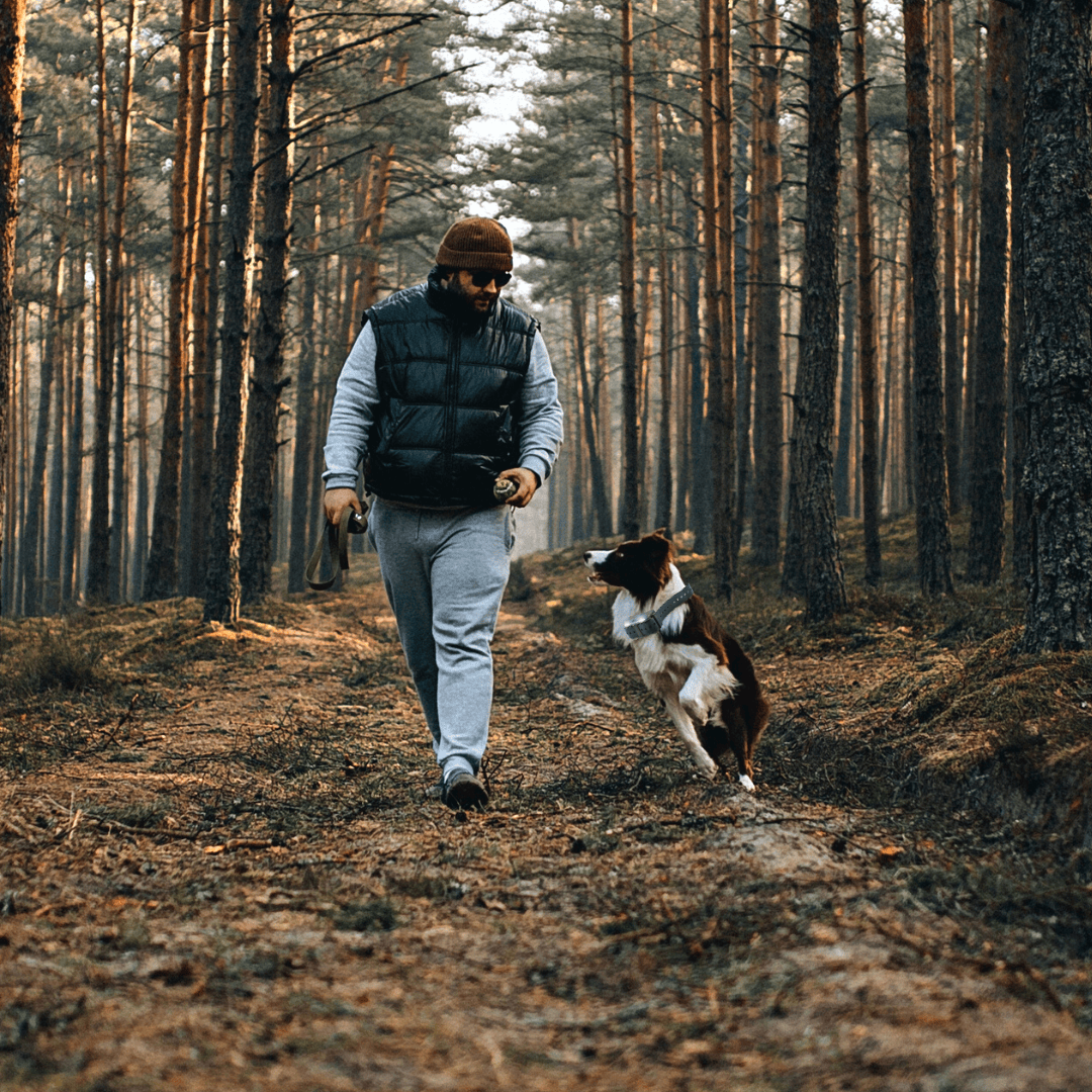 Remote Dog Training Collar product image 2