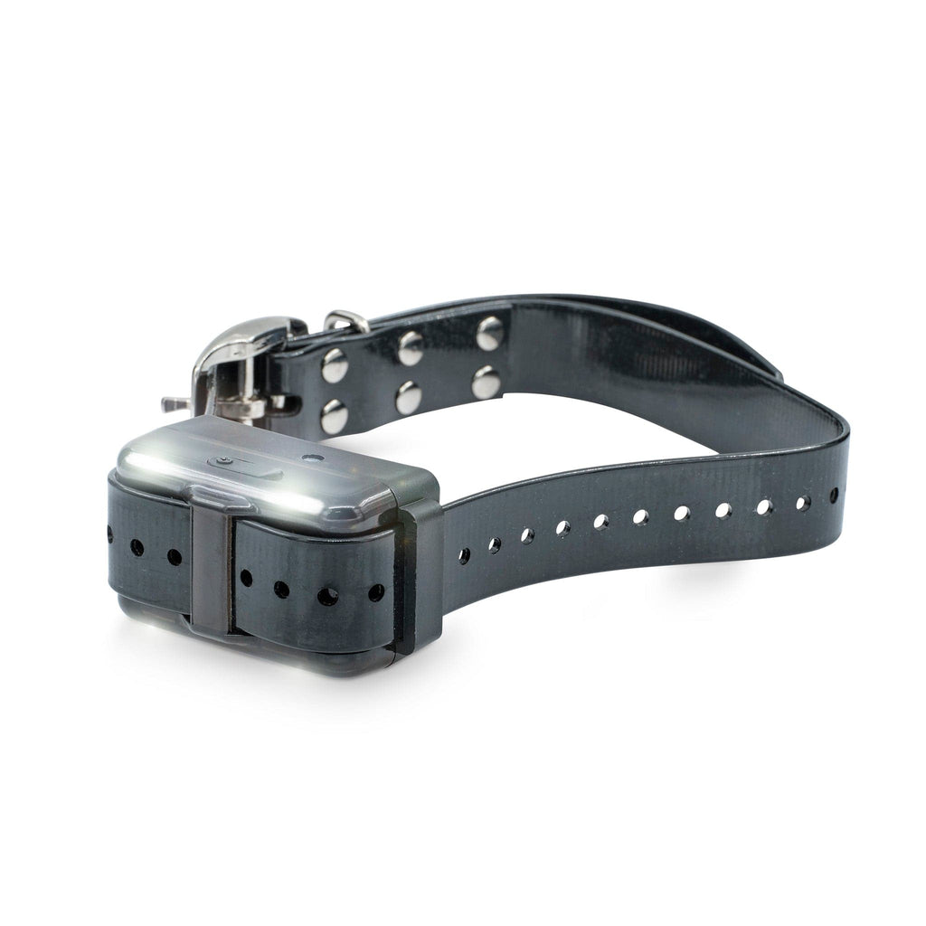 Remote Dog Training Collar product image 9