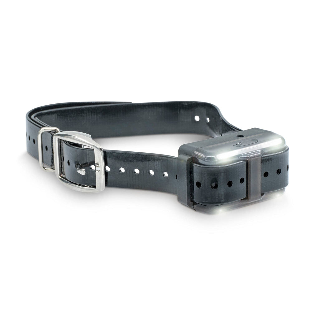 Remote Dog Training Collar product image 11