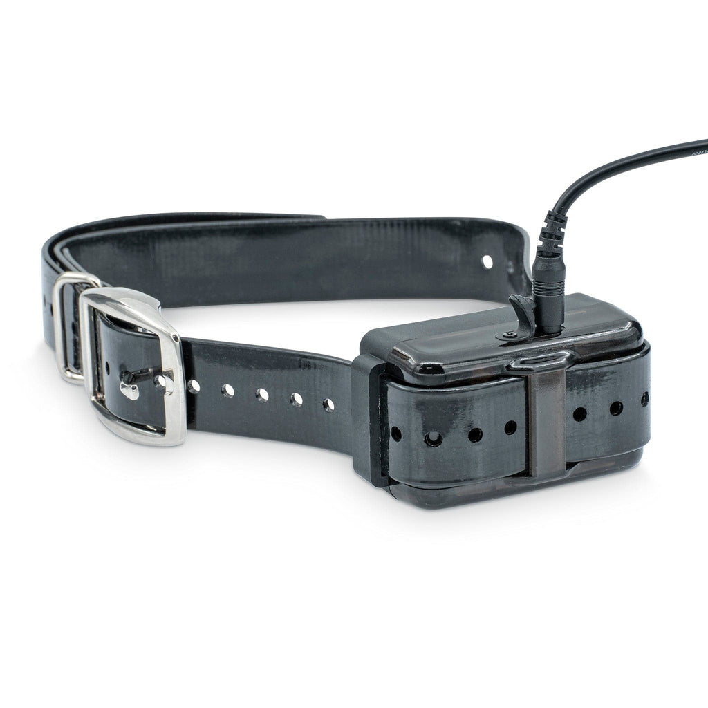 Remote Dog Training Collar product image 19