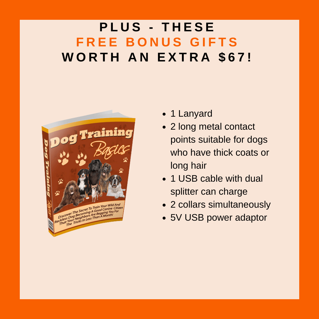 Remote Dog Training Collar product image 26