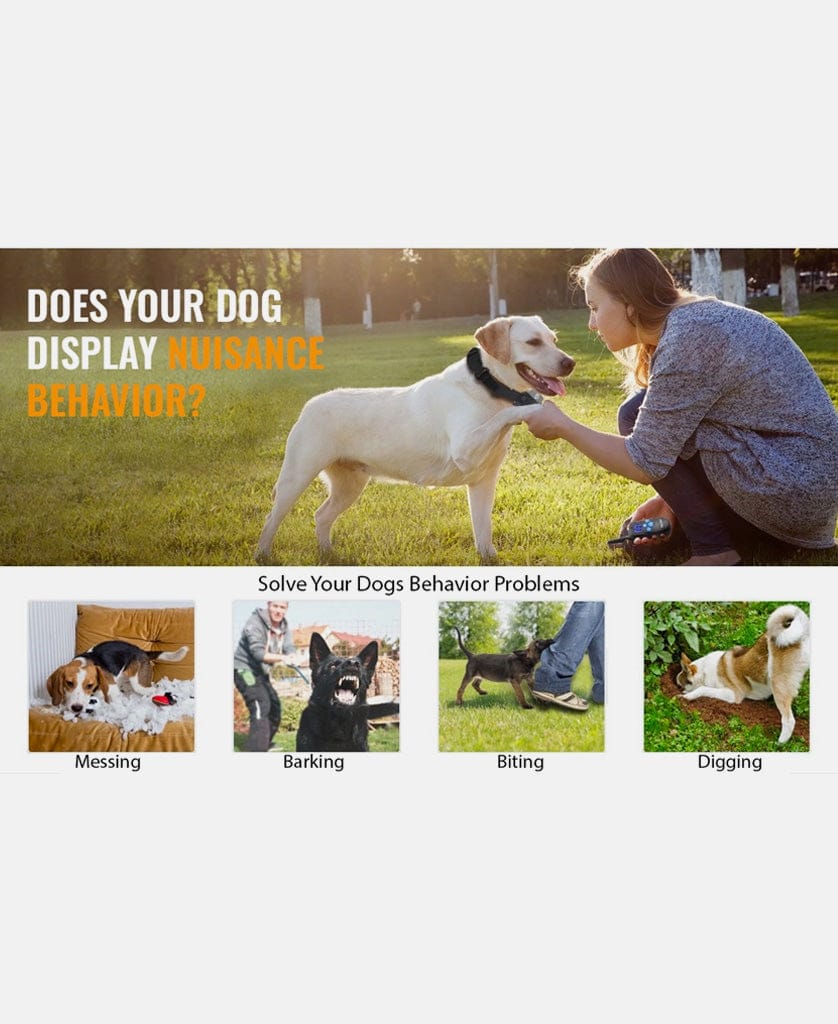 Remote Dog Training Collar product image 27