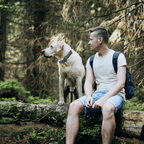 Remote Dog Training Collar product image 28