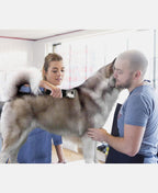 Dog Grooming Clippers product image 2