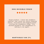 Dog Fence Collar product image 3