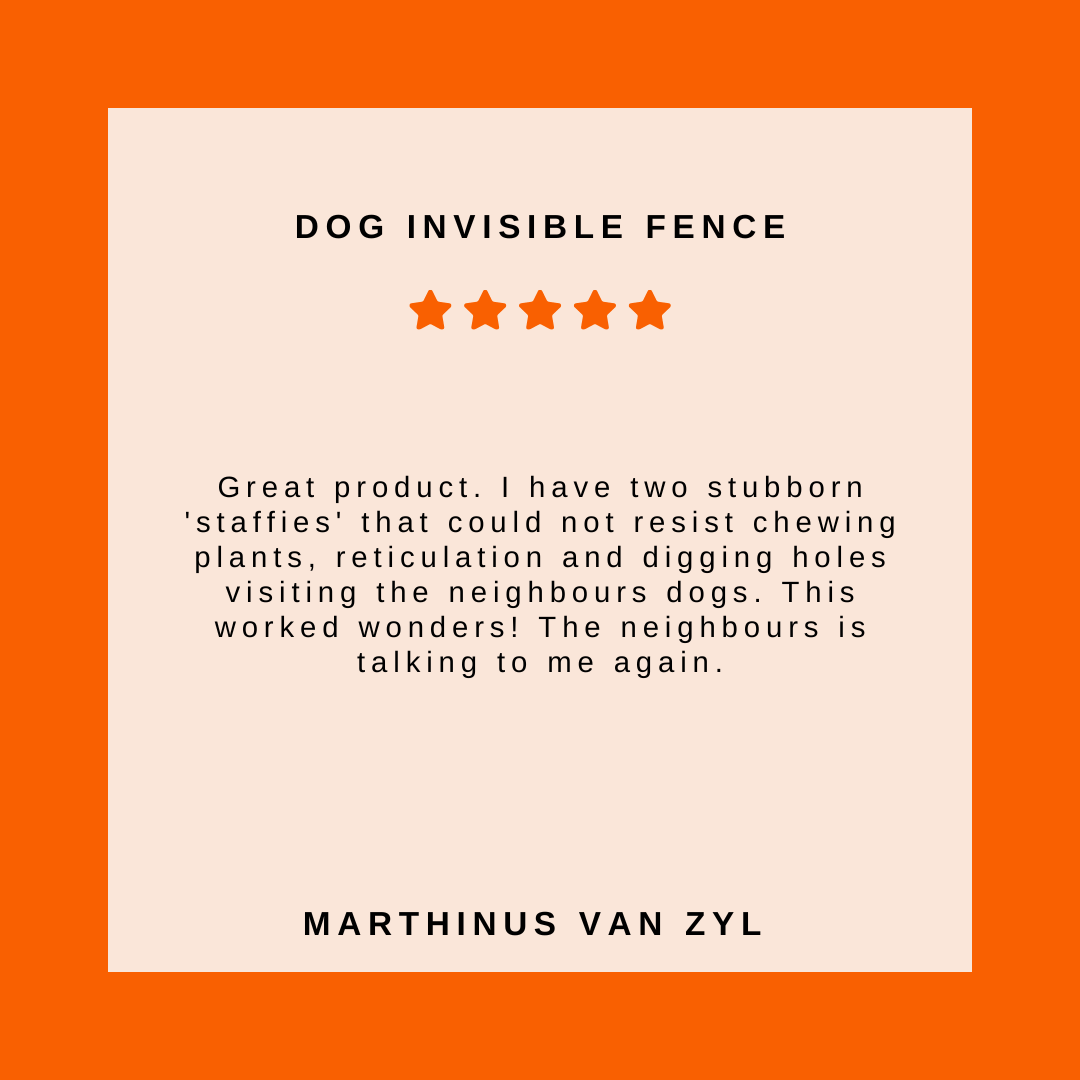 Dog Fence Collar product image 3
