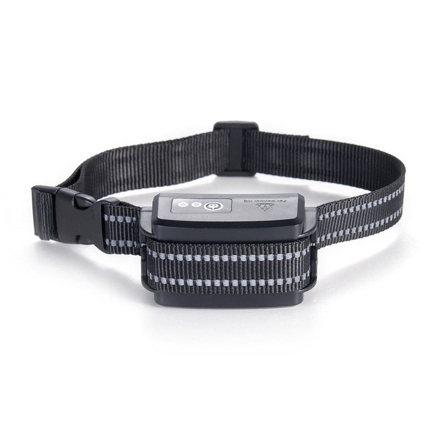 Dog Fence Collar product image 4