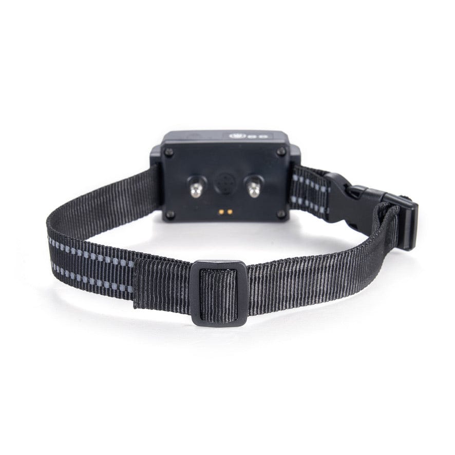 Dog Fence Collar product image 5