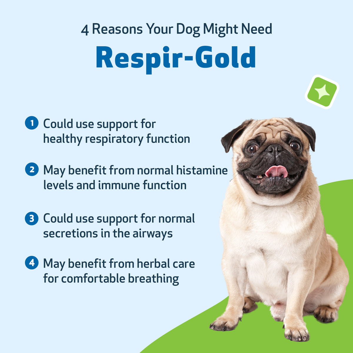 Dog Respiratory Supplement product image 3