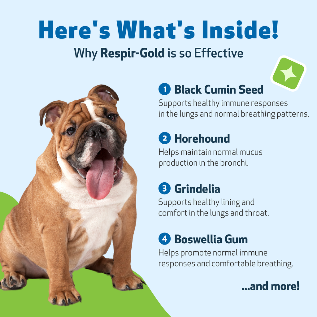 Dog Respiratory Supplement product image 4