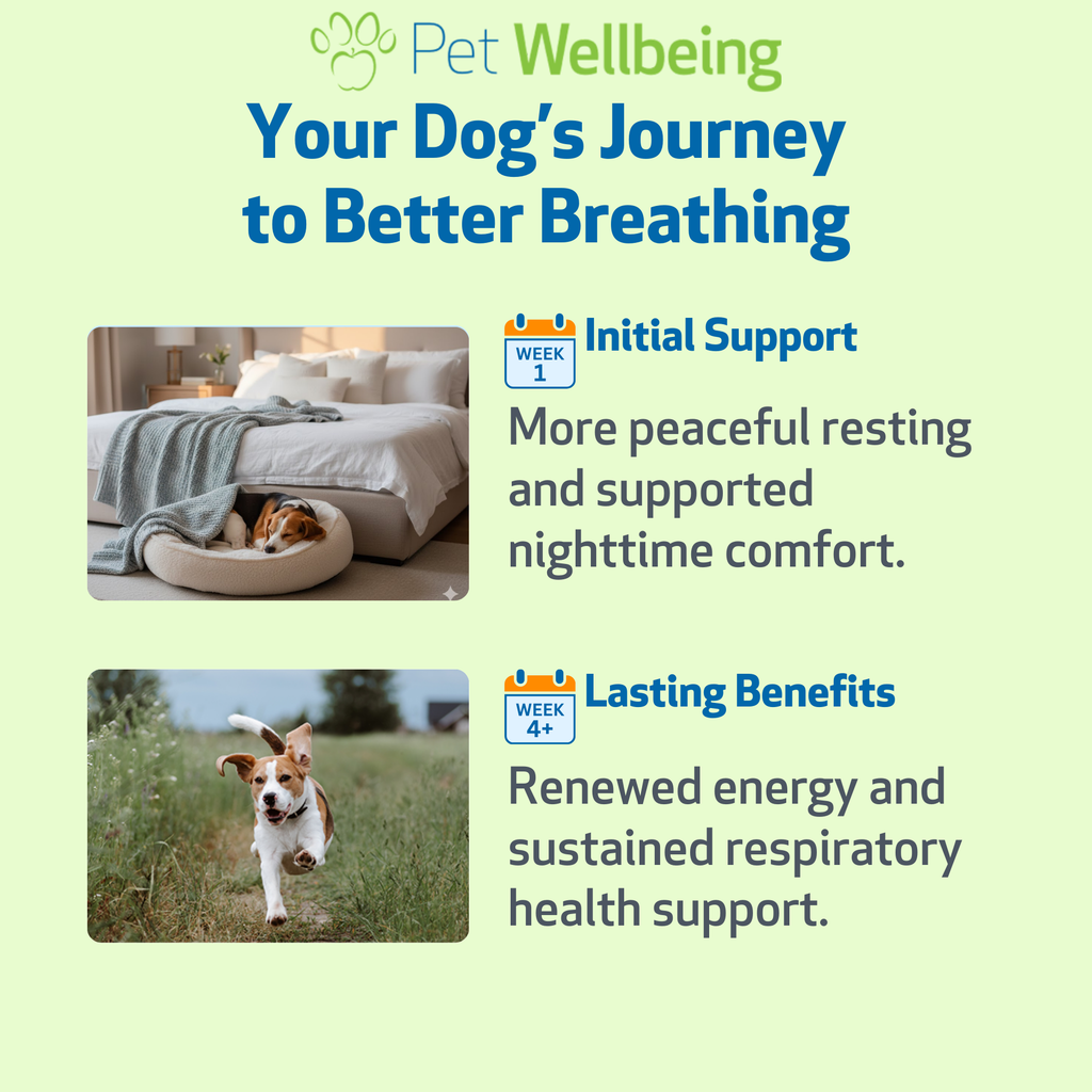 Dog Respiratory Supplement product image 5