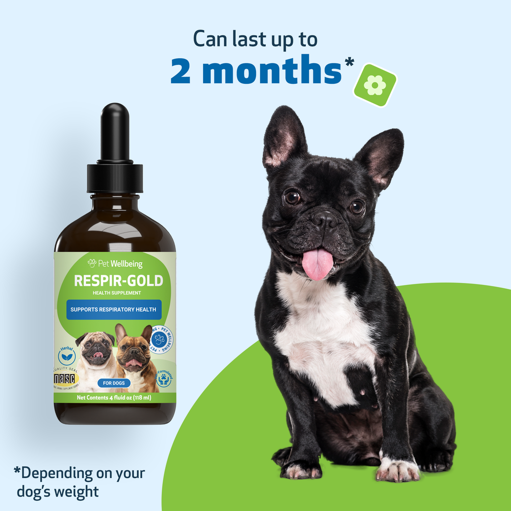 Dog Respiratory Supplement product image 11