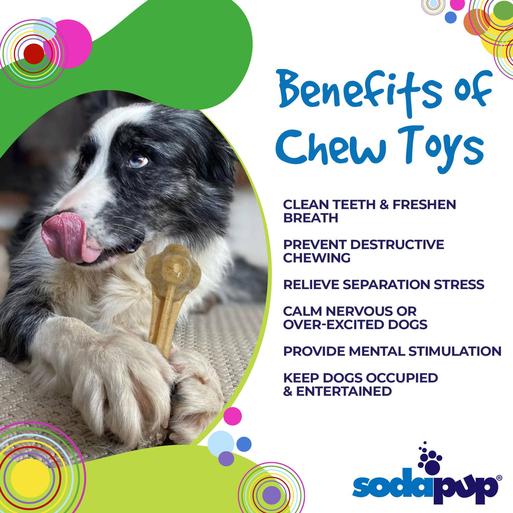 Nylon Dog Chew Toy product image 3