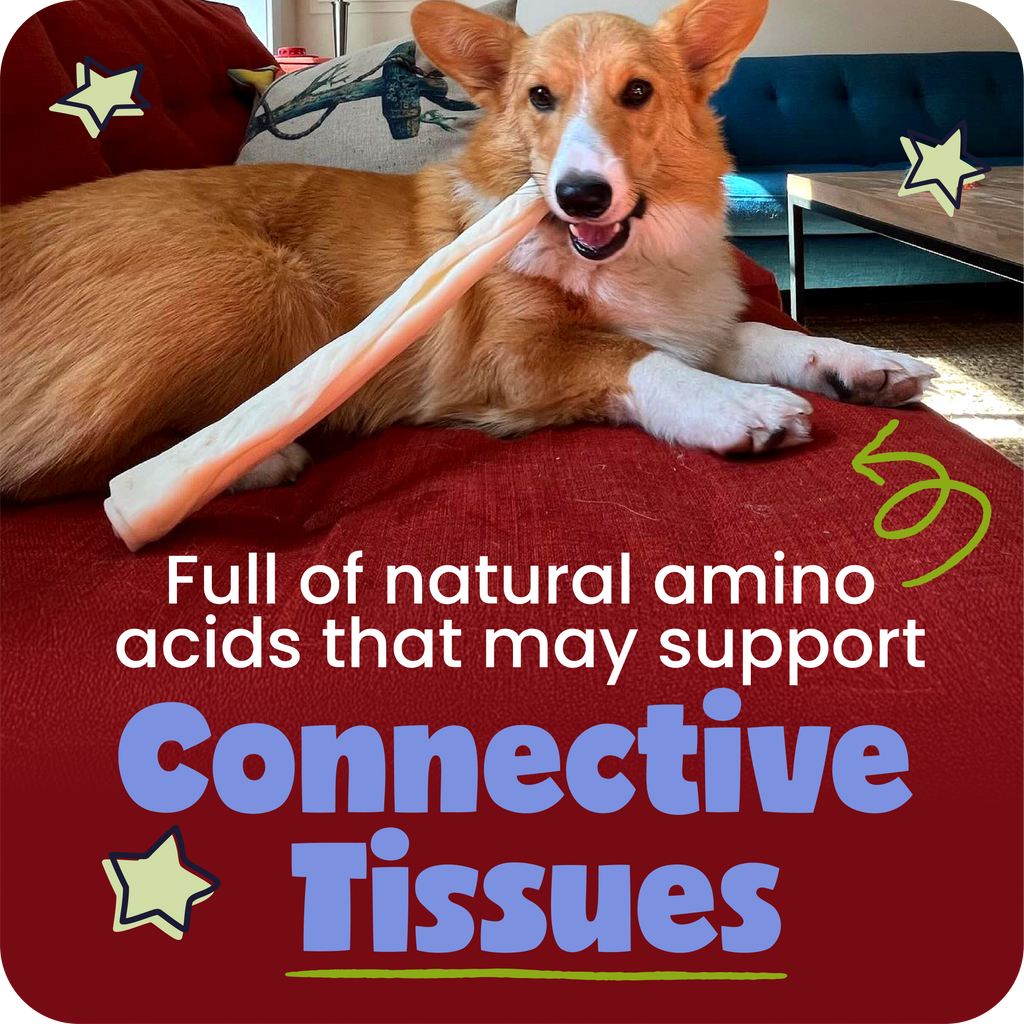 Dog lying on a red surface with a chew treat, surrounded by promotional text about natural amino acids.