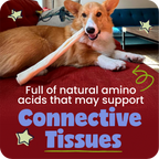 Dog lying on a red surface with a chew treat, surrounded by promotional text about natural amino acids.
